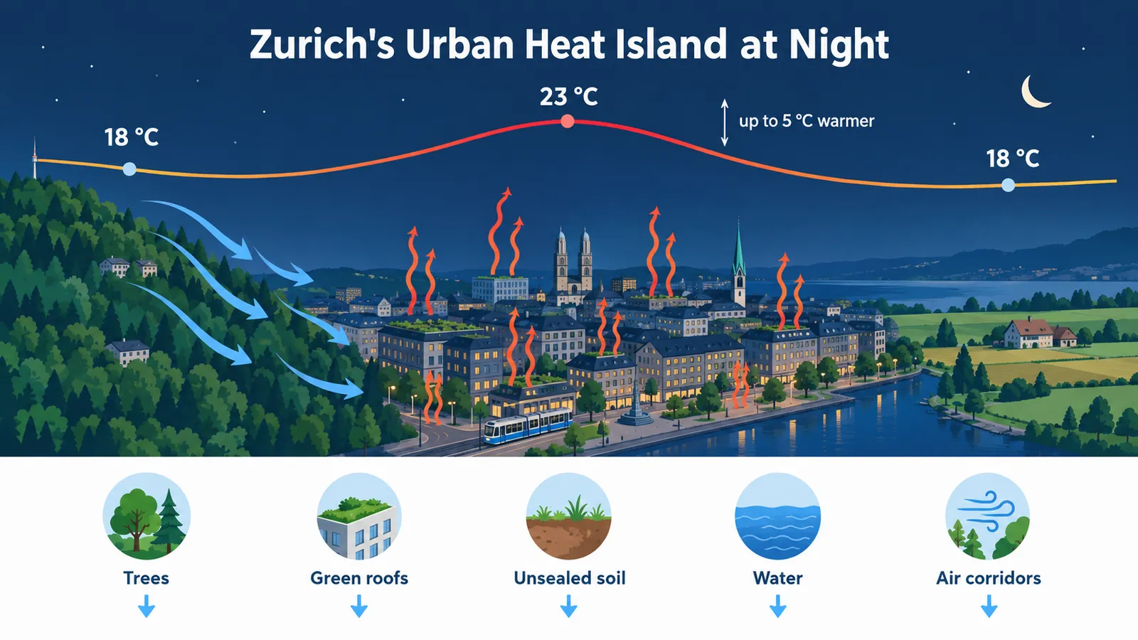 Night-time cross-section of Zurich: cool air flows from forested hills into the warm city centre, which is about 5 °C warmer than the surrounding countryside.
